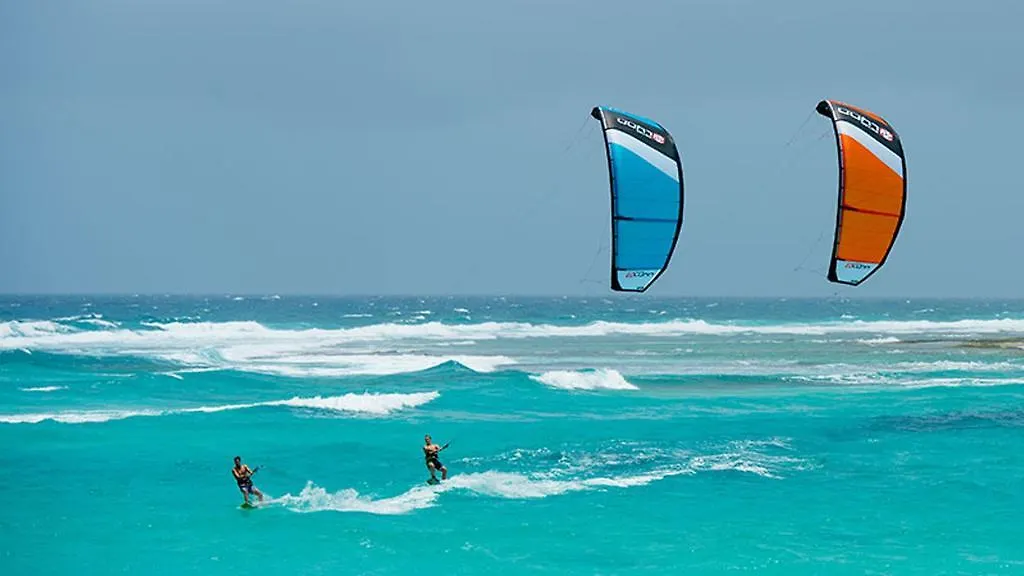 פאלם ביץ' Sandpiper Beach Apartments